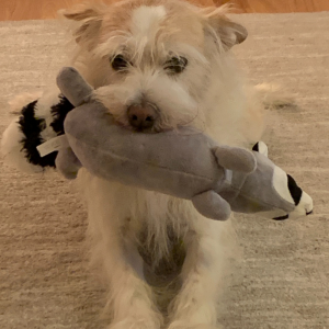 My Dog Glossy White Mug